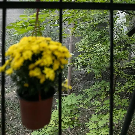 Natalie's Place